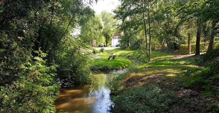 Zum Muehlenteich